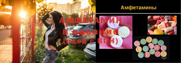 шишки Алзамай