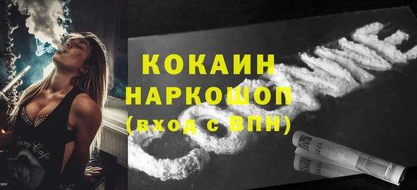 гашик Алексин