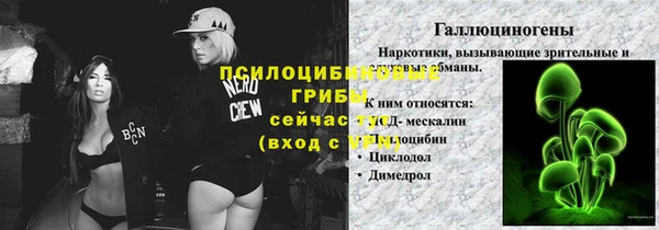 шишки Алзамай