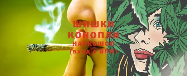шишки Алзамай