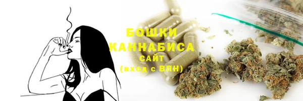 шишки Алзамай