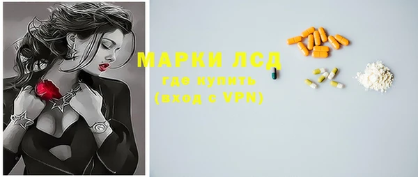 гашик Алексин