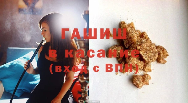 гашик Алексин