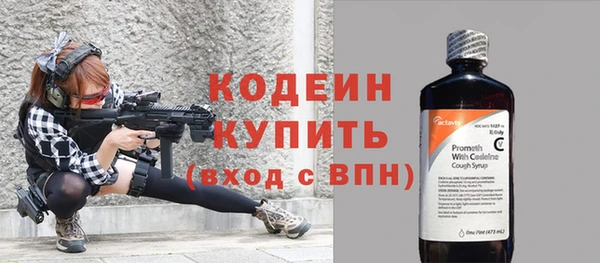 гашик Алексин