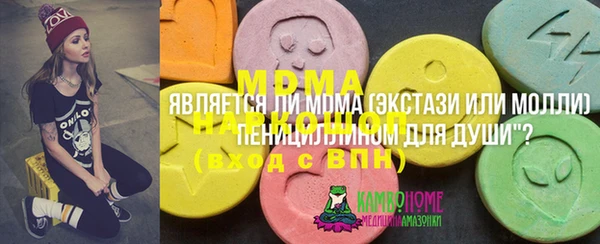 гашик Алексин