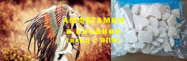 гашик Алексин