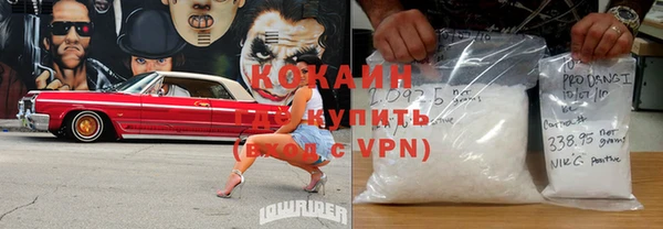 гашик Алексин