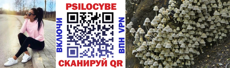 Галлюциногенные грибы Psilocybe где купить наркоту Долинск